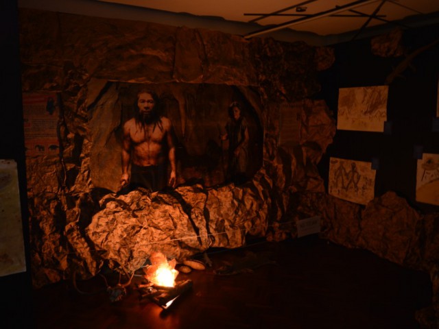 DSC_0429 (Medium).JPG